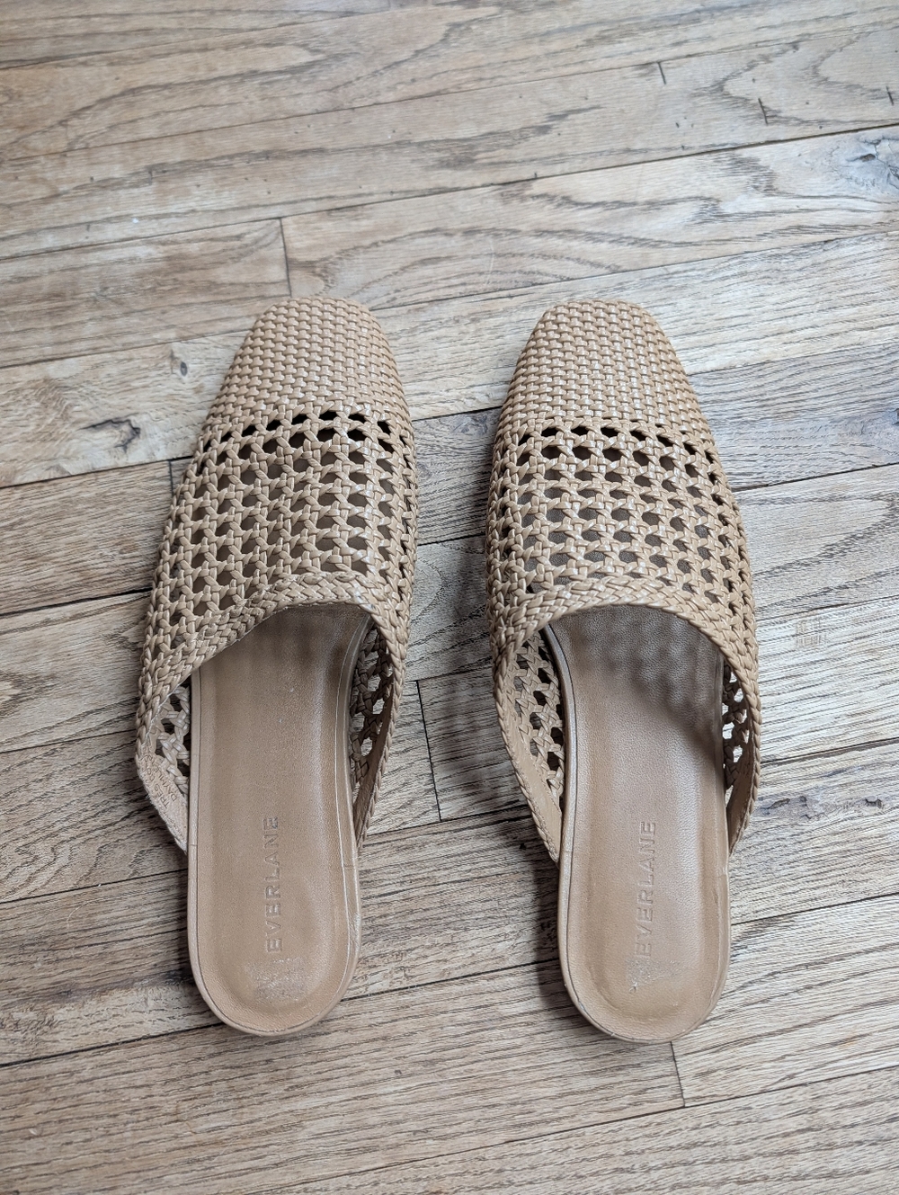 Everlane Leather Woven Day Mules Size 11